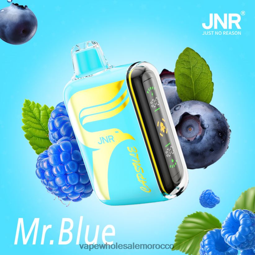 السيجارة الالكترونية بدون نيكوتين - السيد الأزرق R840F2606 JNR CAPSULE