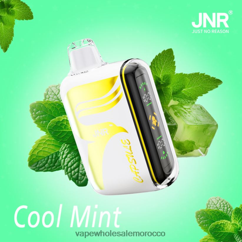 Vape Morocco - نعناع منعش R840F2604 JNR CAPSULE