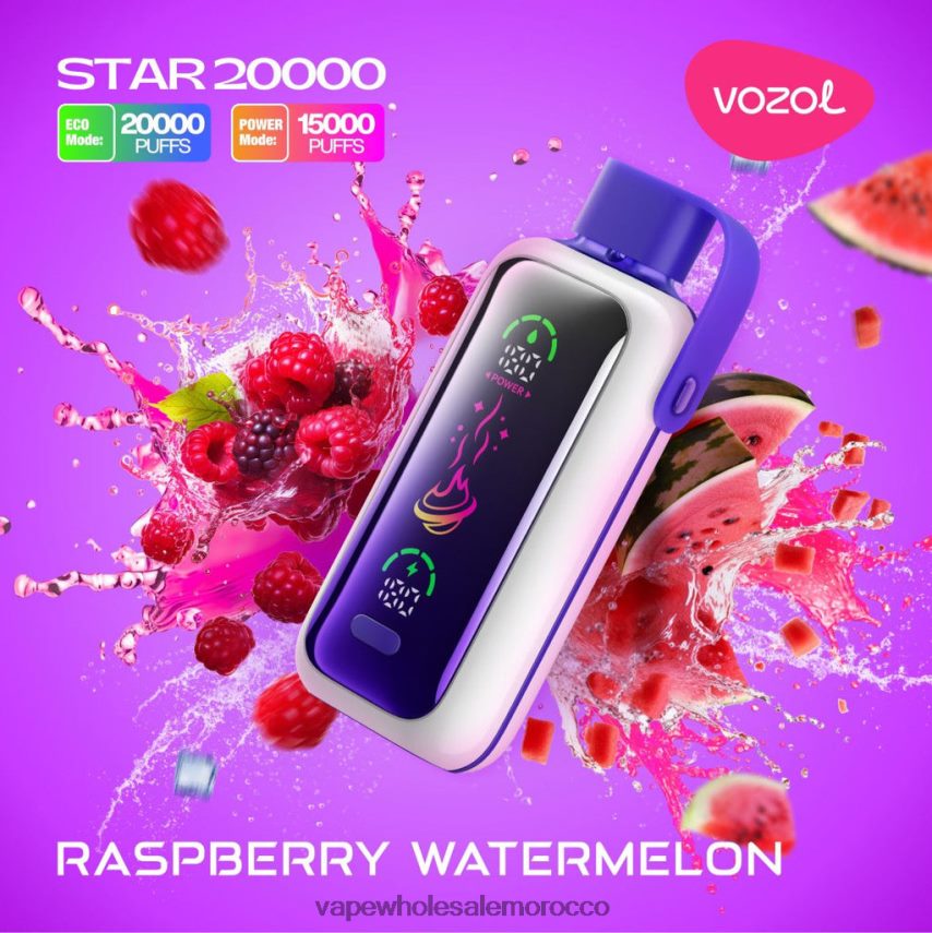 Vape Wholesale Supplier - البطيخ التوت VOZOL STAR 20000 2DF20T19