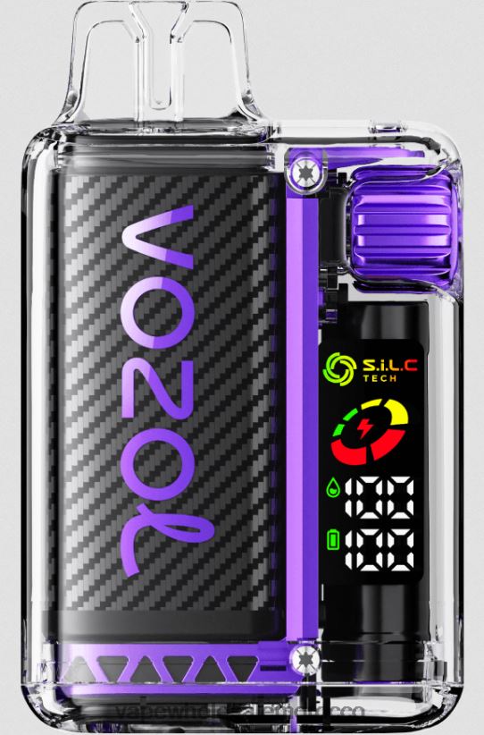 Morocco Vape Shop - التوت المختلطة R840F211 VOZOL VISTA 16000/20000 5%