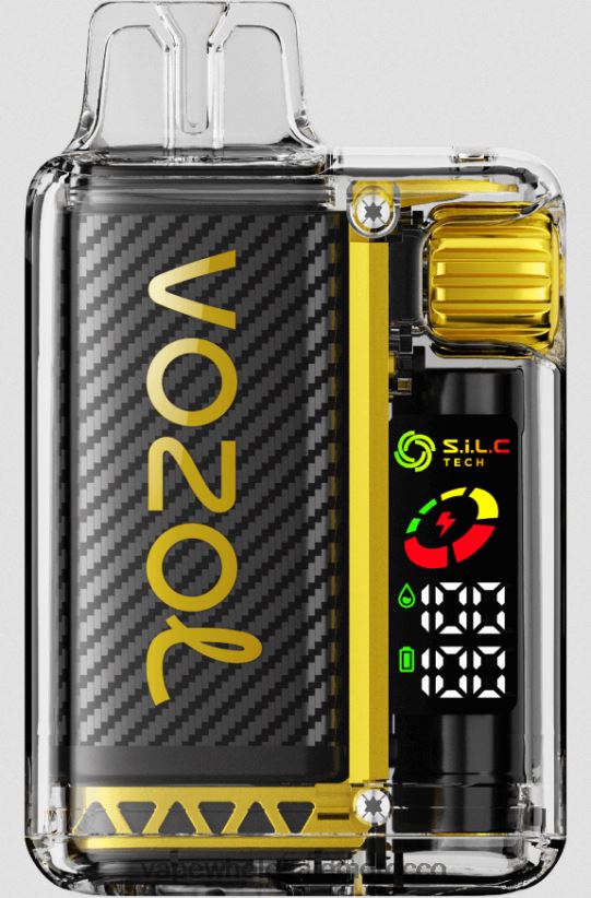 Vape Morocco - جليد المانجو R840F210 VOZOL VISTA 16000/20000 5%
